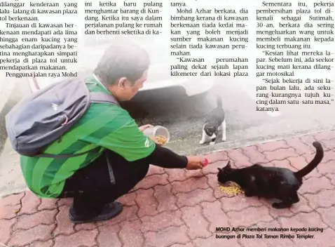  ??  ?? MOHD Azhar memberi makanan kepada kucing buangan di Plaza Tol Taman Rimba Templer.