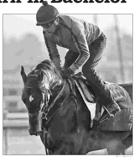  ?? EMILY SHIELDS ?? Eight Rings will be making his first start since last fall’s Breeders’ Cup Juvenile in Saturday’s Bachelor Stakes.