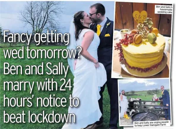  ??  ?? Ben and Sally’s homemade wedding cake
Ben and Sally are urging people to help Lower Damgate Farm