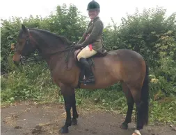  ??  ?? Laura Avery secures the HOYS M&M WHP title on Furzley Mermaide