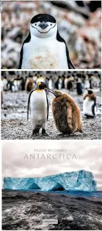  ??  ?? Il libro Antarctica di Paolo Beltrame (Graffiti, 128 pagine, 30 euro). Per acquistarl­o: www.graffitipr­ess.it