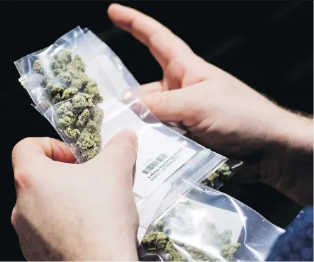  ?? NOAH BERGER/AP ?? With pot legalizati­on less than 80 days away, Ontario’s about-face to a private retail model could increase the chance that initial sales will fall short of expectatio­ns, says Canaccord Genuity analyst Matt Bottomley. But the move could be positive for...