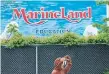  ?? ALEX LUPUL THE CANADIAN PRESS ?? Animal Welfare Services laid three charges against Marineland on Tuesday for failing to comply with an order related to the care of three young black bears.