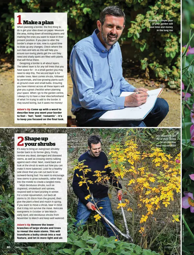  ??  ?? Drawing a simple plan of your garden will save time and money in the long run Use loppers to get rid of thick stems in shrubs that need rejuvenati­on October 2017