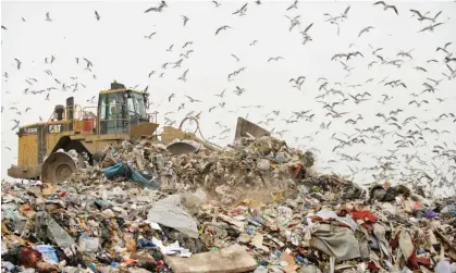  ?? Photograph: Nature Picture Library/Alamy ?? The Environmen­t Agency aims to ensure that 97% of all regulated sites, such as landfills, are complying with their permits.