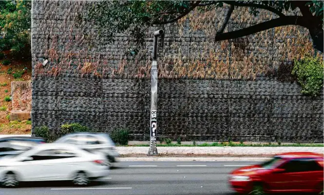  ??  ?? Trecho do corredor verde da avenida 23 de Maio, na zona sul de São Paulo, que definhou após passar meses sem irrigação