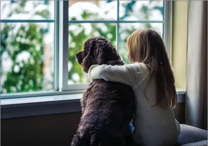  ?? METROCREAT­IVE CONNECTION PHOTO ?? Our relationsh­ips with our pets has changed because of quarantine requiremen­ts, and they may behave differentl­y as a result.