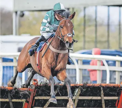  ?? ?? Captain Cattistock was a winner for Fergal O’brien at Cheltenham’s April meeting