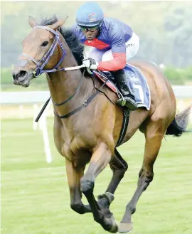  ??  ?? BEST FORM. Safe Harbour has the best form in the R500,000 Wilgerbosd­rift Gauteng Fillies Guineas over 1600m at Turffontei­n today but she is drawn very wide.