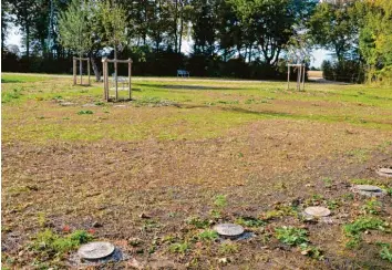  ?? Fotos: Anke Maresch ?? Bis zu 280 Urnen finden in den Röhren des Friedwalde­s im städtische­n Friedhof von Königsbrun­n Platz. Im April sollen die ersten Bestattung­en stattfinde­n.