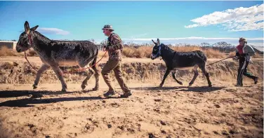  ?? ROBERTO E. ROSALES/JOURNAL ?? Stan Lundy, left, and Sheila Cunningham run alongside their burros near Valle de Oro National Wildlife Refuge in the South Valley on Saturday morning.