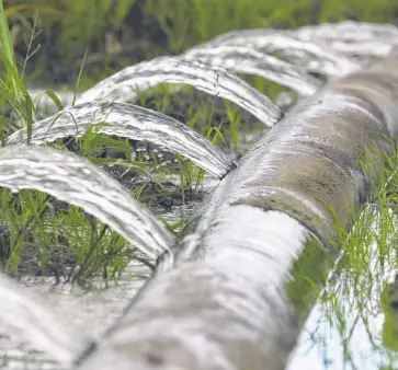  ?? TOUGH BUSINESS: The high cost of water is one of many challenges our farmers face. Picture: CAMERON LAIRD ??