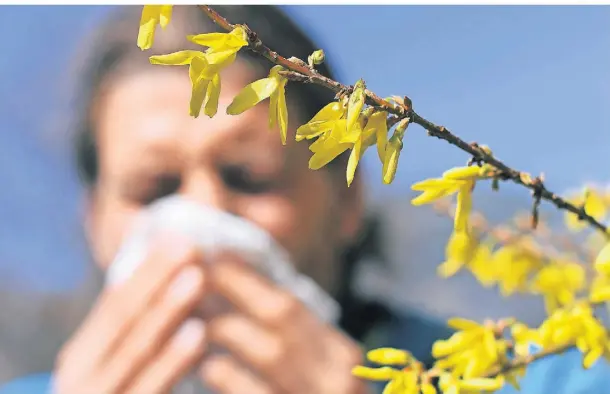  ?? FOTO: ANGELIKA WARMUTH/DPA ?? Im Moment ist die Belastung durch Pollen in der Luft besonders hoch.