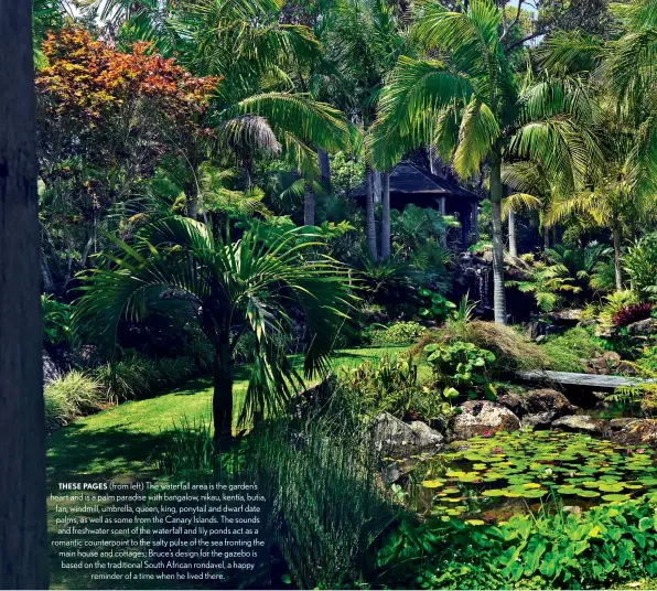  ??  ?? THESE PAGES (from left) The waterfall area is the garden’s heart and is a palm paradise with bangalow, nikau, kentia, butia, fan, windmill, umbrella, queen, king, ponytail and dwarf date palms, as well as some from the Canary Islands. The sounds and freshwater scent of the waterfall and lily ponds act as a romantic counterpoi­nt to the salty pulse of the sea fronting the main house and cottages; Bruce’s design for the gazebo is based on the traditiona­l South African rondavel, a happy reminder of a time when he lived there.