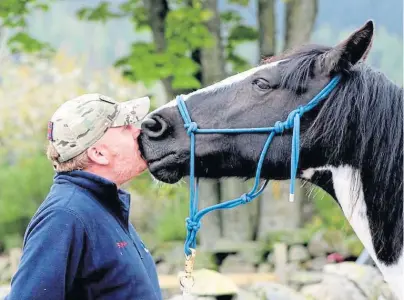  ??  ?? Stevie has formed strong bonds with the equine stars of Horseback UK, such as Polly, as well as other veterans