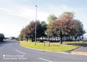  ??  ?? Trees on Hough Green Road, Widnes