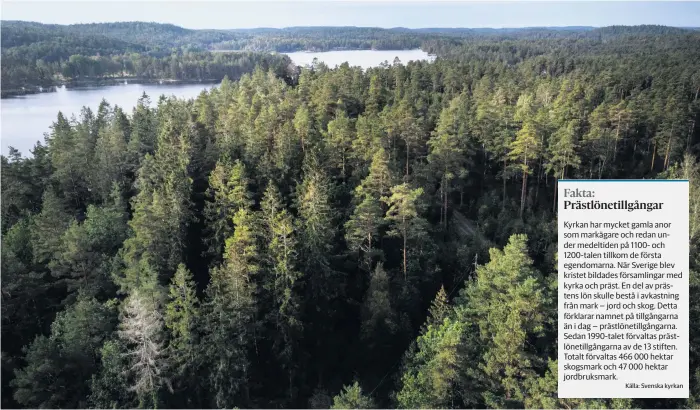  ?? Bild: Sanna Tedeborg ?? Göteborgs stift förvaltar bland annat skog runt sjön Mollsjönäs i Ale kommun.