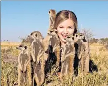  ??  ?? IN THE MORNING chill, meerkats nestle around Sofia for warmth as one animal uses the teen as a secure vantage point.