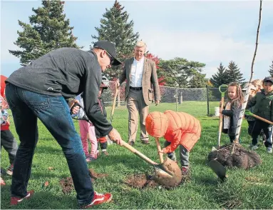  ?? HOHTRIBUTE.CA ?? Students help plant trees at Newcastle Public School, which is adjacent to the Highway of Heroes.