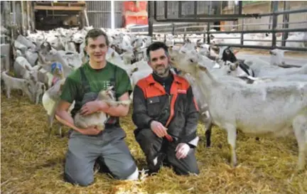  ?? FOTO EVDW ?? Student Vincent Vandenbuss­che en geitenboer Juul Hendrickx. “Toen ik de kans kreeg hier stage te lopen, twijfelde ik geen seconde”, zegt Vincent.