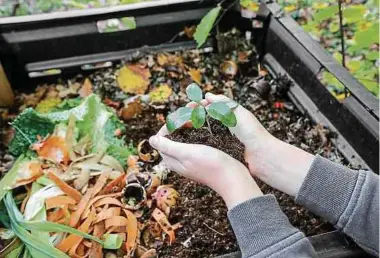  ?? Foto: Shuttersto­ck ?? Manche Dinge – wie etwa Rasenschni­tt – gehören nicht auf den Kompost.