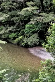  ??  ?? Below middle; Looking down on the Pororari River.