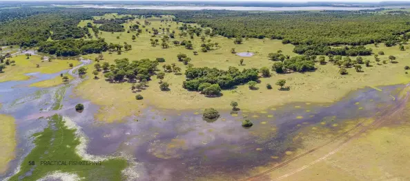  ??  ?? RIGHT: Armoured, but not invincible.
BELOW: Wetlands like these are packed with Hoplos.