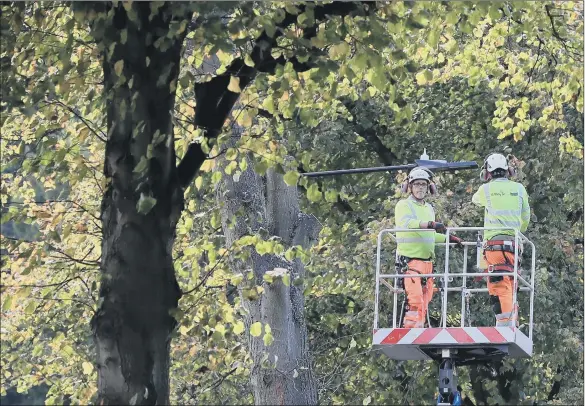  ?? PICTURE: PETER BYRNE. ?? FELLING CONTROVERS­Y: In Sheffield, the strength of feeling from local residents about the city’s tree-felling policy and their cherished green spaces has been unpreceden­ted in scale.