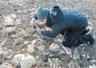  ?? ANDREW STIRLING THE CANADIAN PRESS ?? Douglas Stenton documents remains in the grave of a Franklin expedition officer on King William Island.