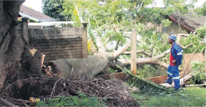  ?? Orrin Singh ?? A municipal worker inspects the extent of the damage at a home in Empangeni where the branch of a tree crashed through a wall during Monday night’s storm