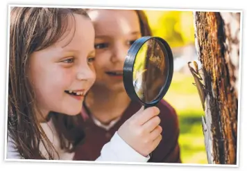  ?? Picture: Contribute­d ?? FRESH AIR: There is so much learning to do and fun to have with a simple nature walk, whether you have a small backyard or sprawling acreage.