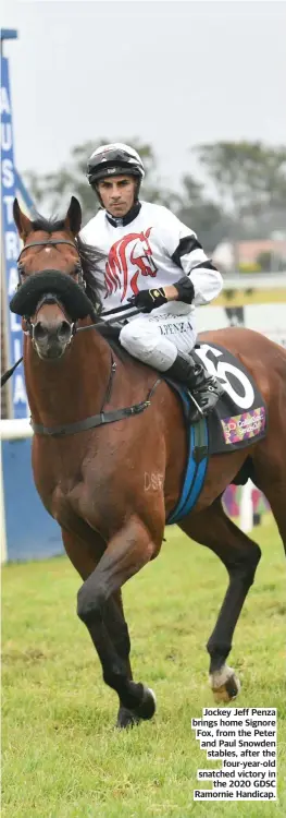  ?? ?? Jockey Jeff Penza brings home Signore Fox, from the Peter and Paul Snowden stables, after the four-year-old snatched victory in the 2020 GDSC Ramornie Handicap.