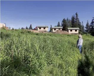  ??  ?? Storyknife founder Dana Stabenow surveys the constructi­on of new cabins in Homer, Alaska, in summer 2019.