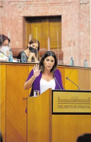  ?? // VANESSA GÓMEZ ?? La portavoz del PSOE en el Parlamento, Ángeles Férriz