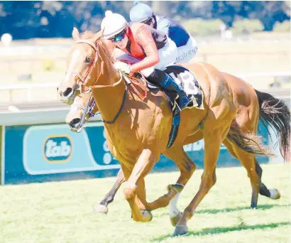  ?? Picture: JC Photograph­ics ?? MORE TO COME. Vivir’s form indicates the best is still to come from this two-year-old and she is selected to win Race 7 at the Vaal tomorrow.