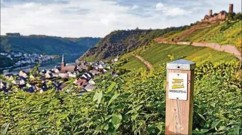  ??  ?? Der  Kilometer lange Moselsteig führt durch Weinberge, Wälder und kleine Flussdörfe­r. Foto: Mosellandt­ouristik Gmbh