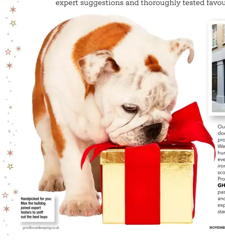  ??  ?? Handpicked for you: Max the bulldog joined expert testers to sniff out the best buys