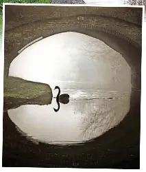  ?? ??