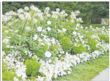  ?? The Associated Press file ?? This moon garden by landscape and garden designer Deborah Silver was planted at the Cranbrook Educationa­l Community museum complex in Bloomfield Hills, Mich.