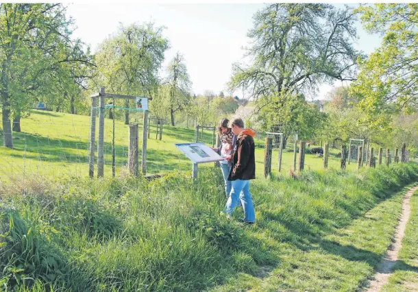  ?? ARCHIVFOTO: CLAUDIA HEITMANN ?? Seit Jahren zieht der Leichlinge­r Obstweg Wanderer von nah und fern an.