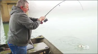  ?? NWA Democrat-Gazette/FLIP PUTTHOFF ?? Ice cold water didn’t stop Mike McBride from yanking a fine mess of crappie and black bass from Lake Sequoyah on Feb. 1. Winter is one of the angler’s favorite seasons for catching crappie.