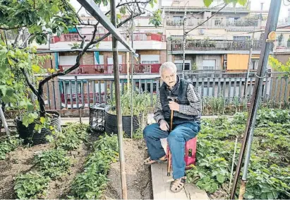  ?? Mané Espinosa ?? Joan Carulla, en su terraza de 150 m 2 con todo tipo de cultivos