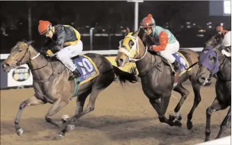  ??  ?? The Greyville polytrack’s worth was shown on Friday night when the meeting was completed despite continual rain. Ian Sturgeon was the toast of Durban when bringing home three winners including a double for Des Egdes, whose Just As Well filly JUST RAP...