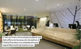  ??  ?? C’est un tronc d’eucalyptus géant qui fait office de bureau de réception à l’hôtel Paradox (un établissem­ent signé Marriott) de Santa Cruz.