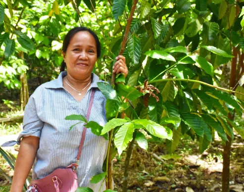  ??  ?? LEONORA Baliguat owns a hectare of coffee farm with 1,000 trees in Brgy. Sta Clara in Kalamansig. She has been farming since 1985, helping her husband Emegildo.
