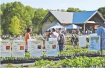  ?? CONTRIBUTE­D PHOTO ?? Hundreds of varieties of plants will be available including more than 50 varieties of heirloom tomatoes at the Crabtree Farms Spring plant Sale.