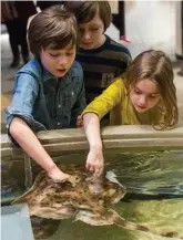  ?? ©2015 National Aquarium ?? PHOTO: Guests enjoy the Living Seashore exhibit at the National Aquarium.