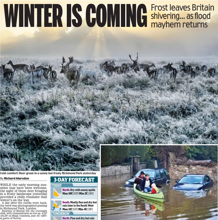  ??  ?? Cold comfort: Deer graze in a sunny but frosty Richmond Park yesterday
Paddle power: Paul Hayes ferries children across the floodwater in Lower Lydbrook