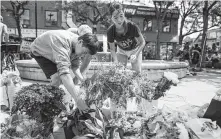  ?? Mark Blinch / Associated Press ?? Kaya Malcolmson, right, and Jowa Malcolmson organize flowers at a memorial site rememberin­g the Toronto shooting victims.