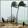  ?? AP/ Dominique Chomereau- Lamotte ?? People pass a tree blown down by Hurricane Maria early Tuesday on the French Caribbean island of Guadeloupe.